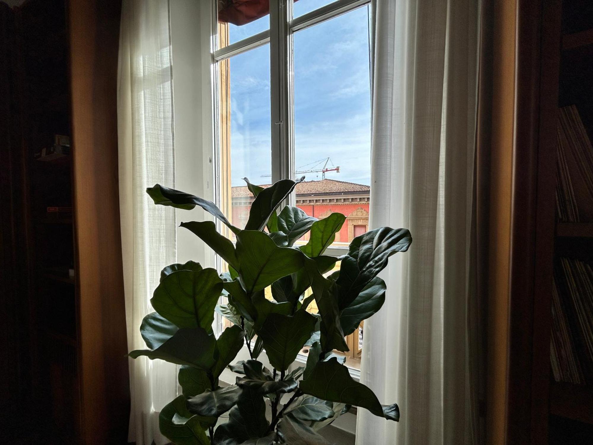 Frame Bologna Hotell Eksteriør bilde